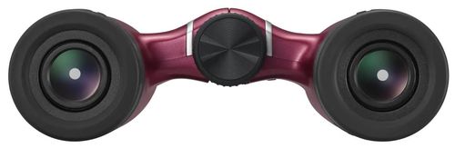 купить Бинокль Nikon Aculon T02 8x21 Red в Кишинёве 