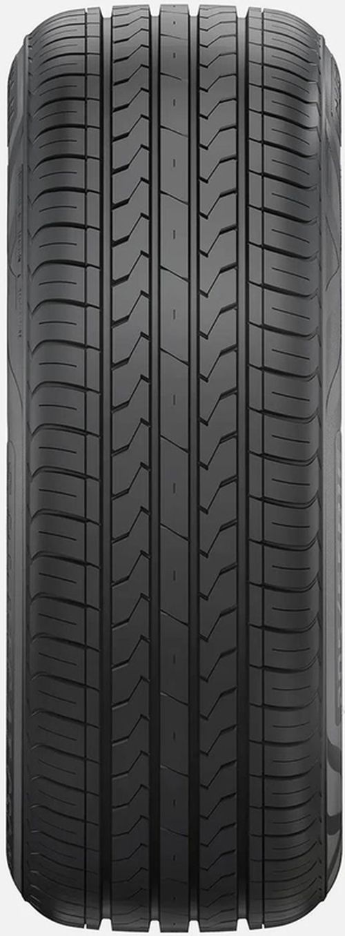 купить Шина Fortune 195/65 R15 91H FSR-802 LW в Кишинёве 