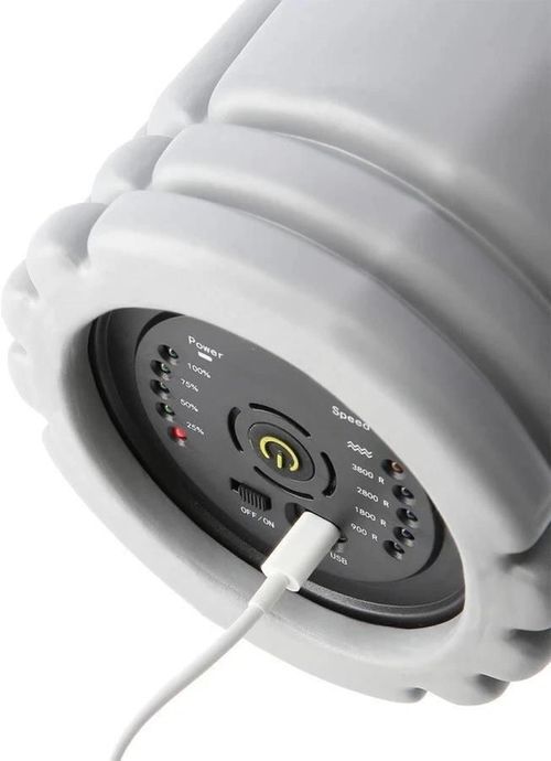 cumpără Rolă pentru masaj HMS FSV305 Abisal Grey Vibration Roller în Chișinău 