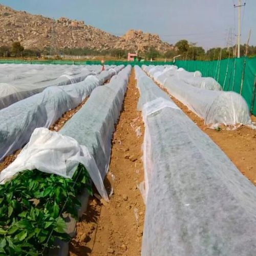 купить Агроволокно Agreen 77529 Folie microporoasa agril 30g/m² (alb-transparent) (3.2x5m) 16m² в Кишинёве 