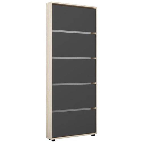 купить Полка для обуви Mobildor-Lux Leo Slim 50x16x203H cm Sonoma/Anthracite в Кишинёве 