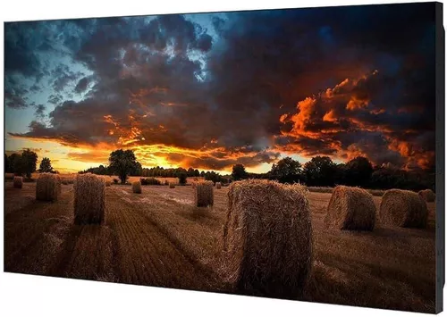 cumpără Televizor Samsung LH55VMBUBGBXEN în Chișinău 