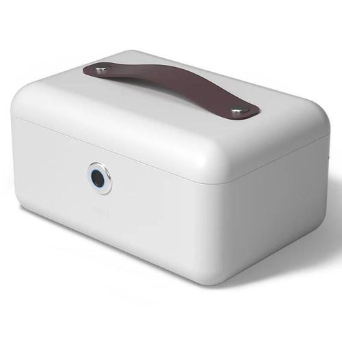 cumpără Safeu de mobilier Deli DLAE200, 140х280х190мм (для ювелирных изделий) în Chișinău 