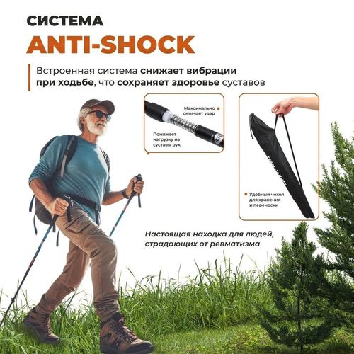 cumpără Bețe pentru trekking miscellaneous Team Jaunty 6-3JNS Black în Chișinău 