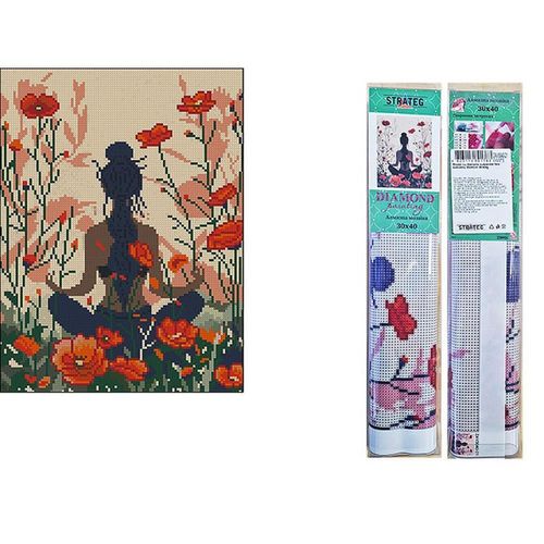 cumpără Tablou pe numere Strateg 57289 Mozaic cu diamante 30x40cm Armonie în Chișinău 