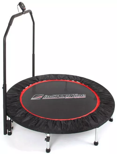 купить Батут inSPORTline 319 fitness+ maner+ecran d=100cm 7198 Profi в Кишинёве 