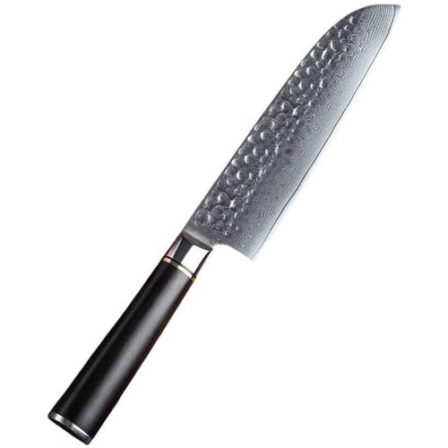 cumpără Cuțit Takumi Takemaru Santoku Knife (TK-B1Z-RS) în Chișinău 