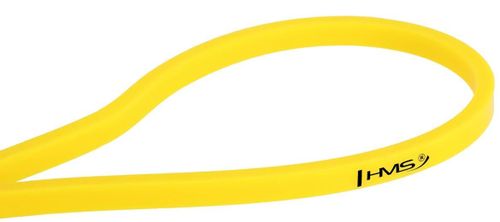 купить Эспандер HMS 2948 Expander 4.5x6.4x2080mm, 1-10kg (17-33-020) в Кишинёве 