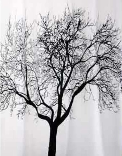 купить Занавеска для ванной Bisk 04440 TXT TREE arbore negru180x200 в Кишинёве 