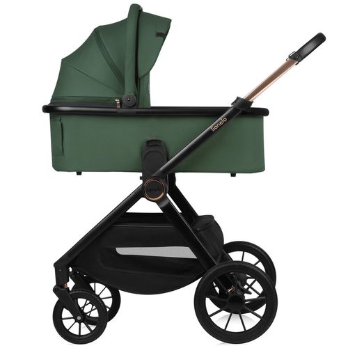 купить Детская коляска Lionelo Carucior 2in1 Layla Green Forest в Кишинёве 