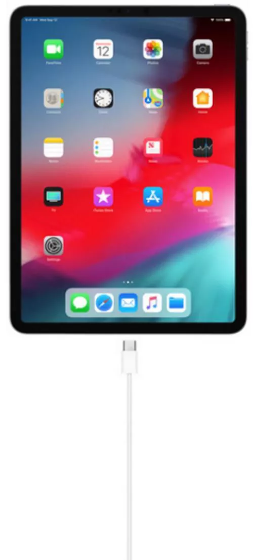 cumpără Cablu telefon mobil Apple USB-C Charge Cable 1m MM093 în Chișinău 