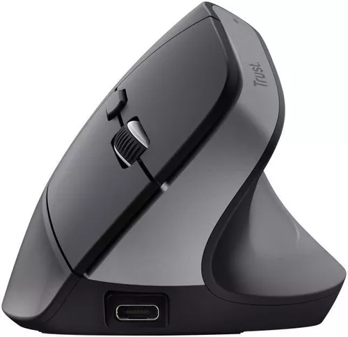 купить Мышь Trust TR25146 Bayo+, Black в Кишинёве 