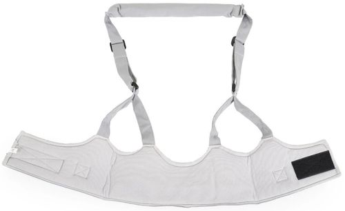 cumpără Accesoriu pentru cei mici Moni Walky Grey BW001 în Chișinău 