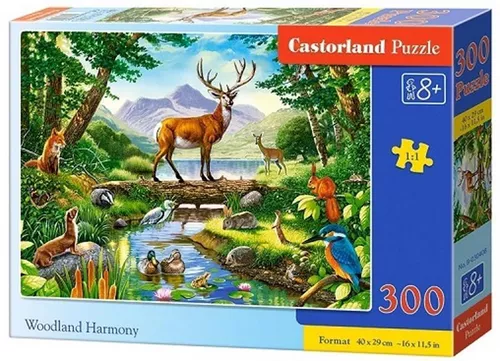купить Головоломка Castorland Puzzle B-030408 Puzzle 300 elemente в Кишинёве 