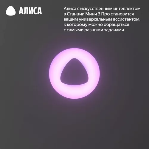 купить Колонка портативная Bluetooth Yandex YNDX-00059GRY Alisa Station Mini 3 Pro Grey в Кишинёве 