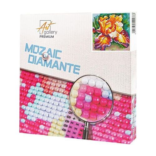 купить Картина по номерам Art Gallery BJ976 Mozaic cu diamante 20x20cm Iris luxuriant в Кишинёве 