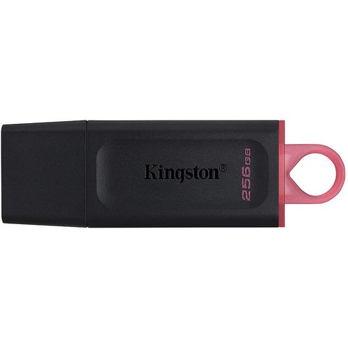купить 256GB USB Flash Drive Kingston DTX/256GB DataTraveler Exodia, USB 3.2 (memorie portabila Flash USB/внешний накопитель флеш память USB) в Кишинёве 