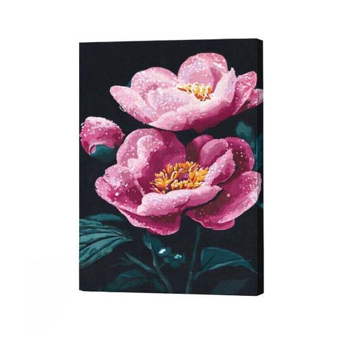 купить Картина по номерам BrushMe BS54155 40x50cm Eco, Prospetimea diminetii в Кишинёве 