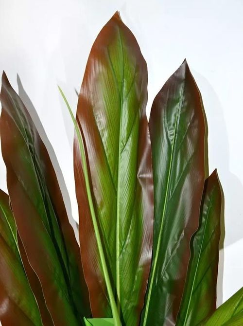 купить Декор Cilgin Planta artificiala M24 1.7m (Green/Brown) в Кишинёве 