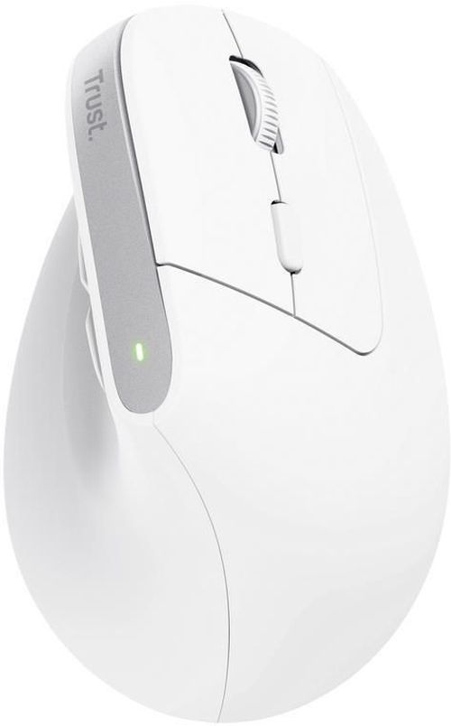 купить Мышь Trust TR25399 Bayo+, White в Кишинёве 