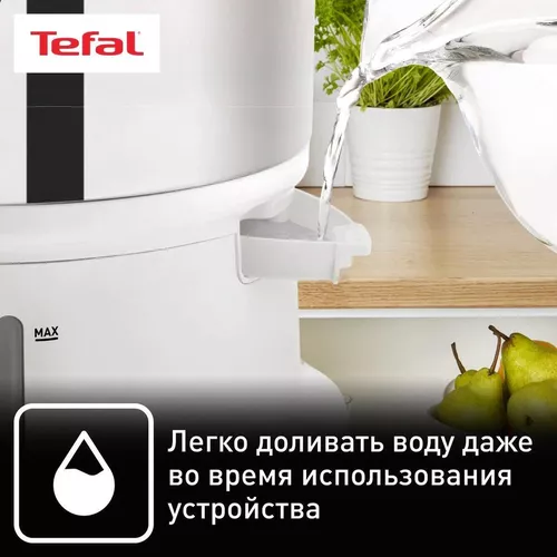 cumpără Aparat de gătit cu aburi Tefal VC1451 în Chișinău 