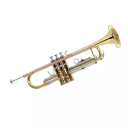 cumpără Instrument muzical de suflat Startone STR 25 trompeta în Chișinău 