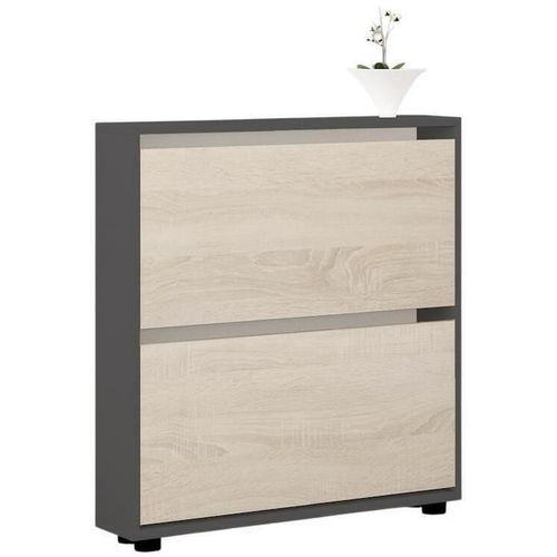 cumpără Raft pentru încălțăminte Mobildor-Lux Leo Slim 50x16x86H cm Anthracite/Sonoma în Chișinău 