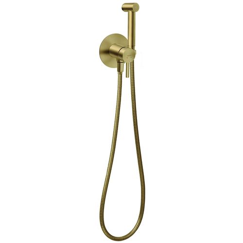 купить Смеситель для биде Ferro Ciriculus gold BCK66PBG (dus igienis) в Кишинёве 