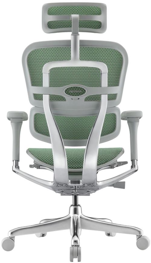 купить Офисное кресло ART Ergohuman Elite 2 Green T-168-B6 EHE2-AG-HAM-5D-L в Кишинёве 