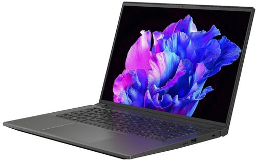 cumpără Laptop Acer Swift X 14 Steel Gray (NX.KEVEU.003) în Chișinău 