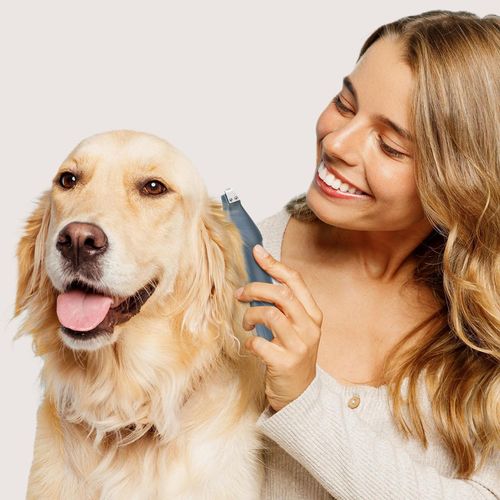 купить Товар для груминга Ufesa Pet grooming & vacuum PetBuddy Groom в Кишинёве 