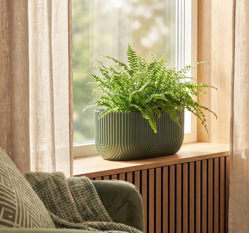 купить Цветочный горшок Idea М3273 Ramona 385x180mm, 6L, ovală в Кишинёве 