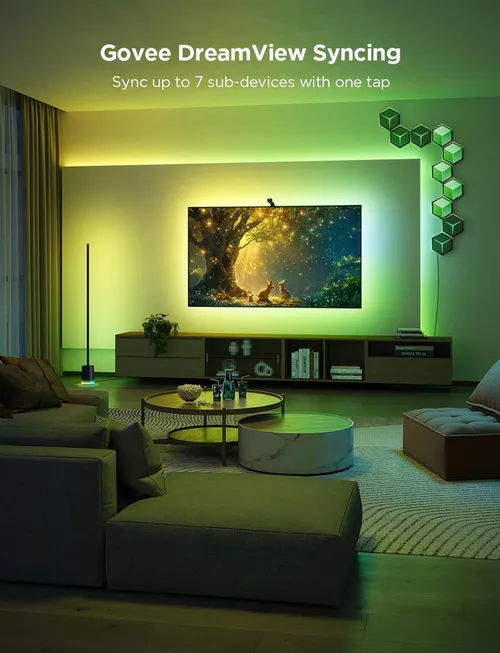 cumpără Banda LED Govee TV Light Strip RGBIC TV Backlight 3 Lite (55”-65”) (H60993D1) în Chișinău 