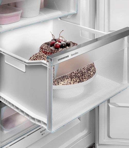 купить Морозильник Liebherr SFNsdd 5267 в Кишинёве 