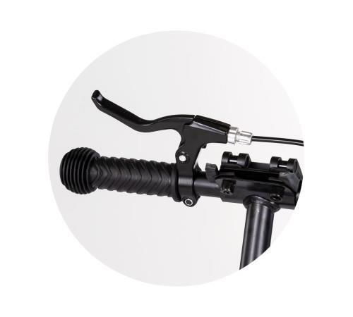 купить Самокат Chipolino DSSWI0262WH Swift white до 100кг в Кишинёве 