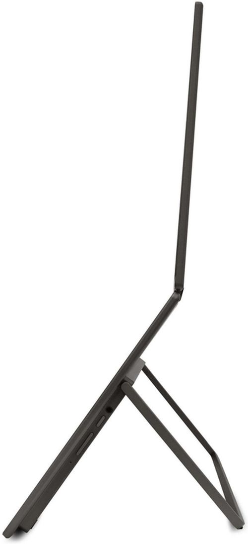 cumpără Monitor Acer PD163QT Dual Portable Touch Monitor Black în Chișinău 