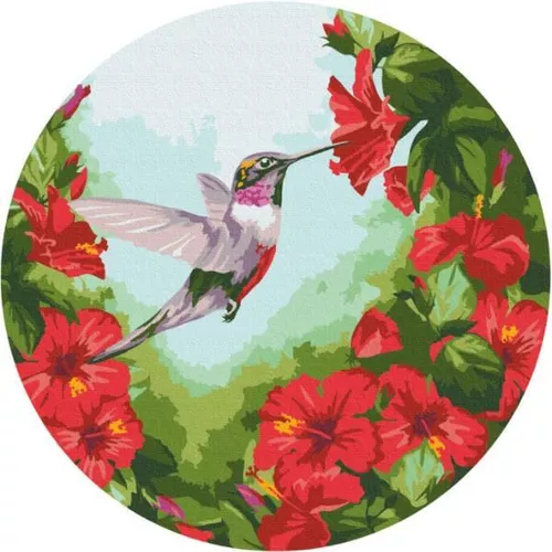 купить Картина по номерам BrushMe RC00012FC D30 сm (fără cutie) Colibri (M) в Кишинёве 