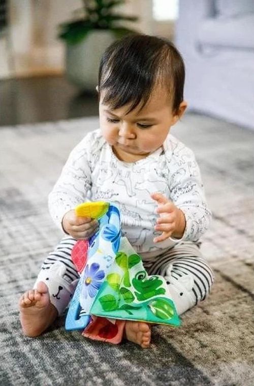 cumpără Iinel dentiție Baby Einstein 11794 Jucarie-carte pentru dentitie în Chișinău 