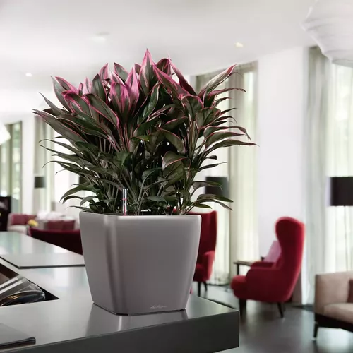 купить Цветочный горшок Lechuza Quadro Premium 28 Ls All In One White в Кишинёве 