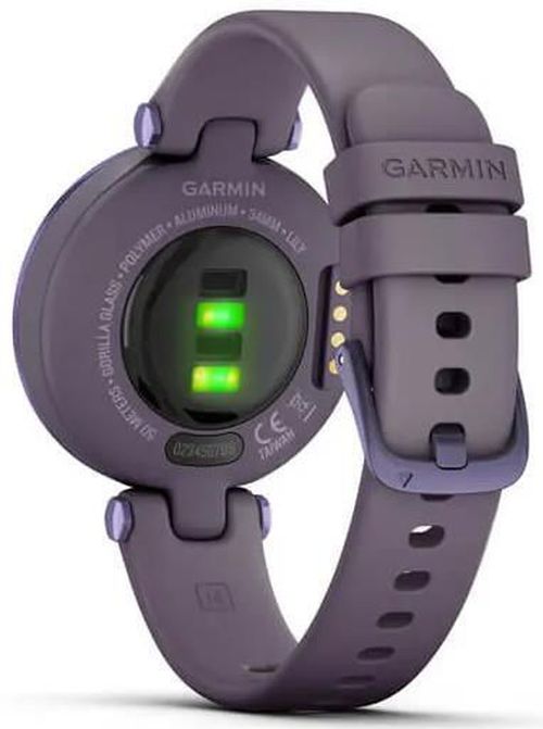 купить Смарт часы Garmin Lily™ (010-02384-12) в Кишинёве 