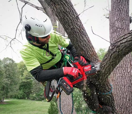 купить Пила Milwaukee 4933480117 M18FHS20-0 в Кишинёве 