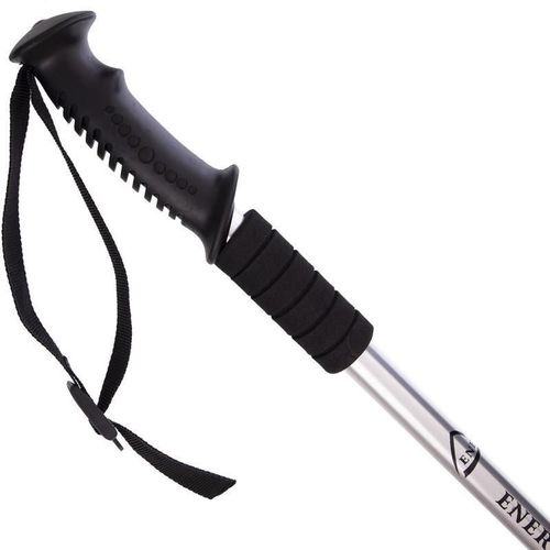 купить Треккинговые палки Arena палка треккинг 765130 2 шт серый в Кишинёве 