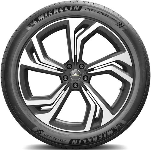 купить Шина Michelin 255/50R 19 107H TL Prim.All Seas.MO XL Mercedes-Ausführung в Кишинёве 