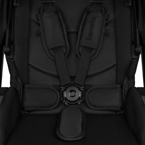 купить Детская коляска Lionelo Carucior 2in1 Layla Black Onyx в Кишинёве 