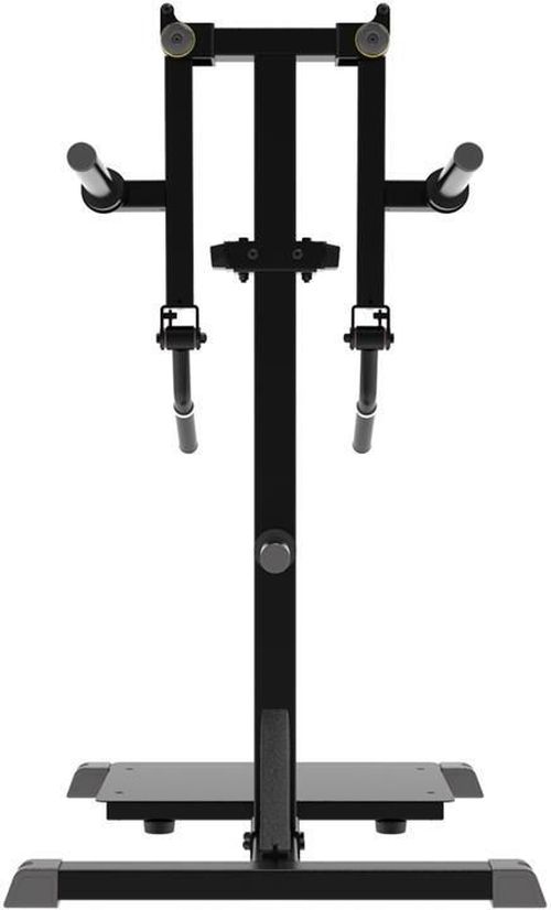 купить Скамья для силовых упражнений Impulse 54777 Standing Lateral Raise IFP1103-WX в Кишинёве 