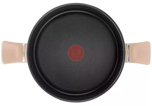 купить Кастрюля Tefal G1744624 Blossom 5,2l в Кишинёве 