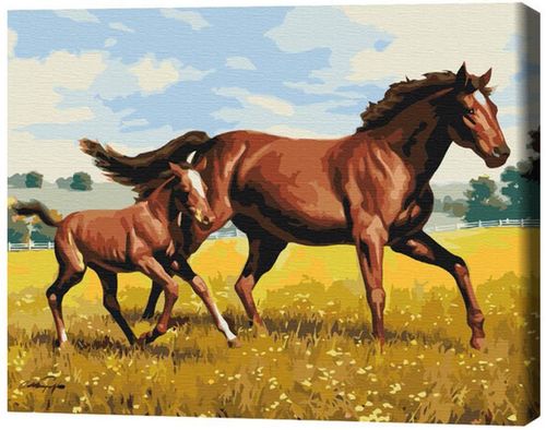 cumpără Tablou pe numere BrushMe BS52394 40x50 cm (în cutie) Galop de familie în Chișinău 