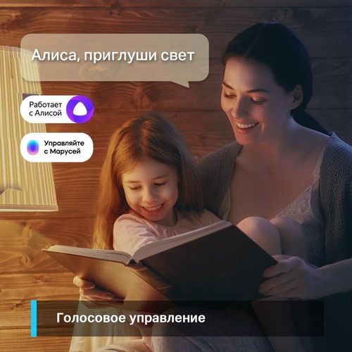 купить Лампочка TP-Link Tapo L520E, Smart в Кишинёве 