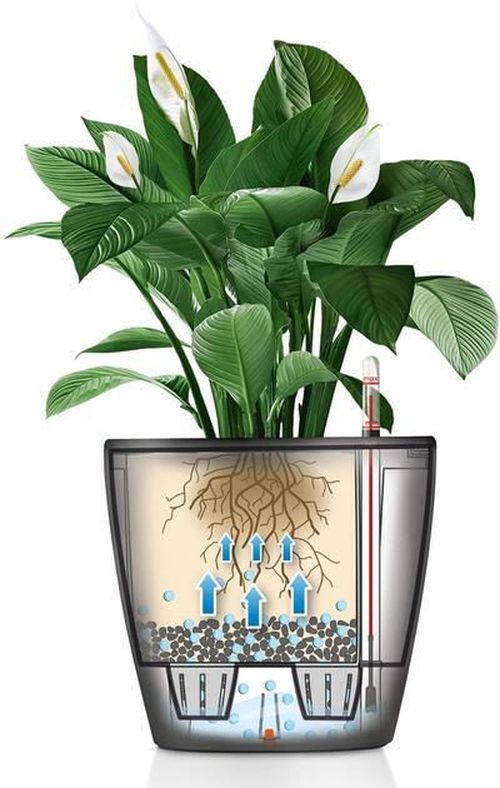 купить Цветочный горшок Lechuza Classico Premium 28 LS, Black в Кишинёве 