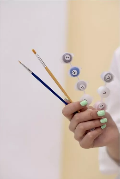 cumpără Tablou pe numere BrushMe BS37543 (în cutie) Bujori cadou în Chișinău 